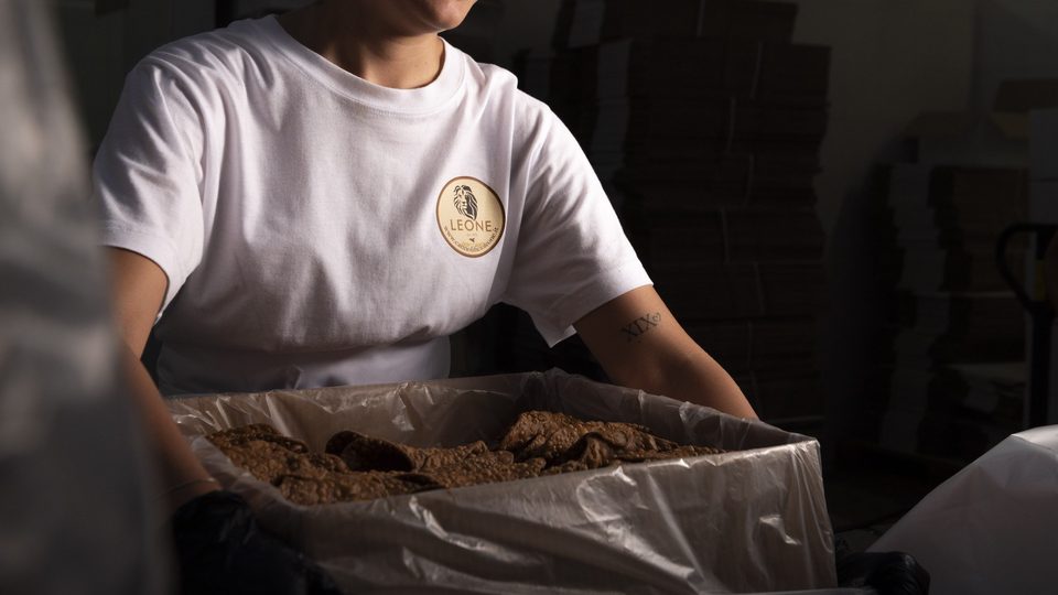Operatore Leone durante la preparazione delle scorze per il confezionamento