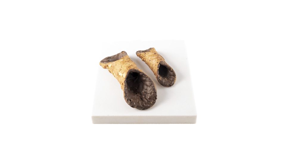 Cannoli Mignon glassati al cioccolato
